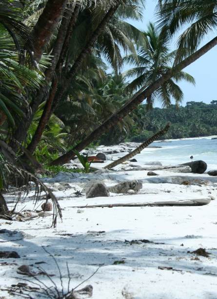 Corisco Island
